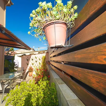 Stylish With Private Yard Διαμέρισμα